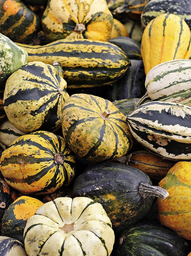 Farm Harvest