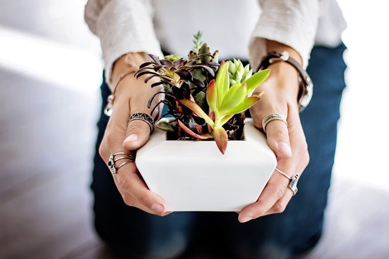 Upcycled Planter
