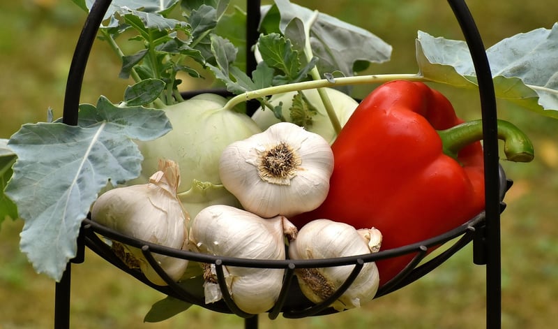 Summer Harvest